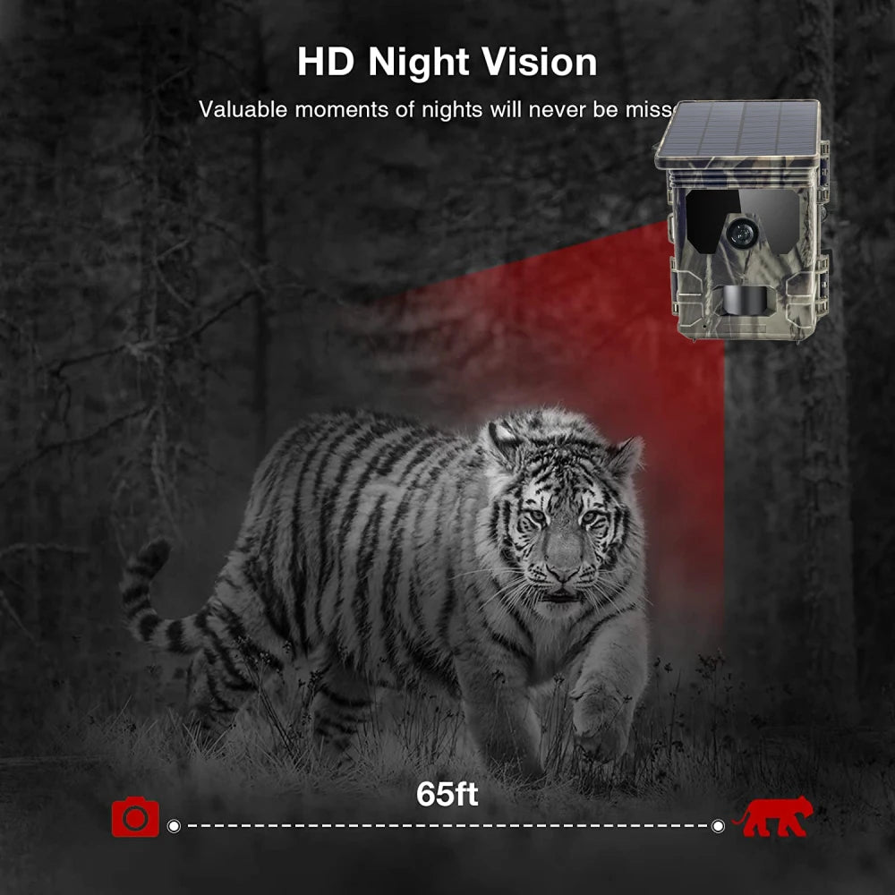 Hunting Camera, Solar Panel, Night Vision