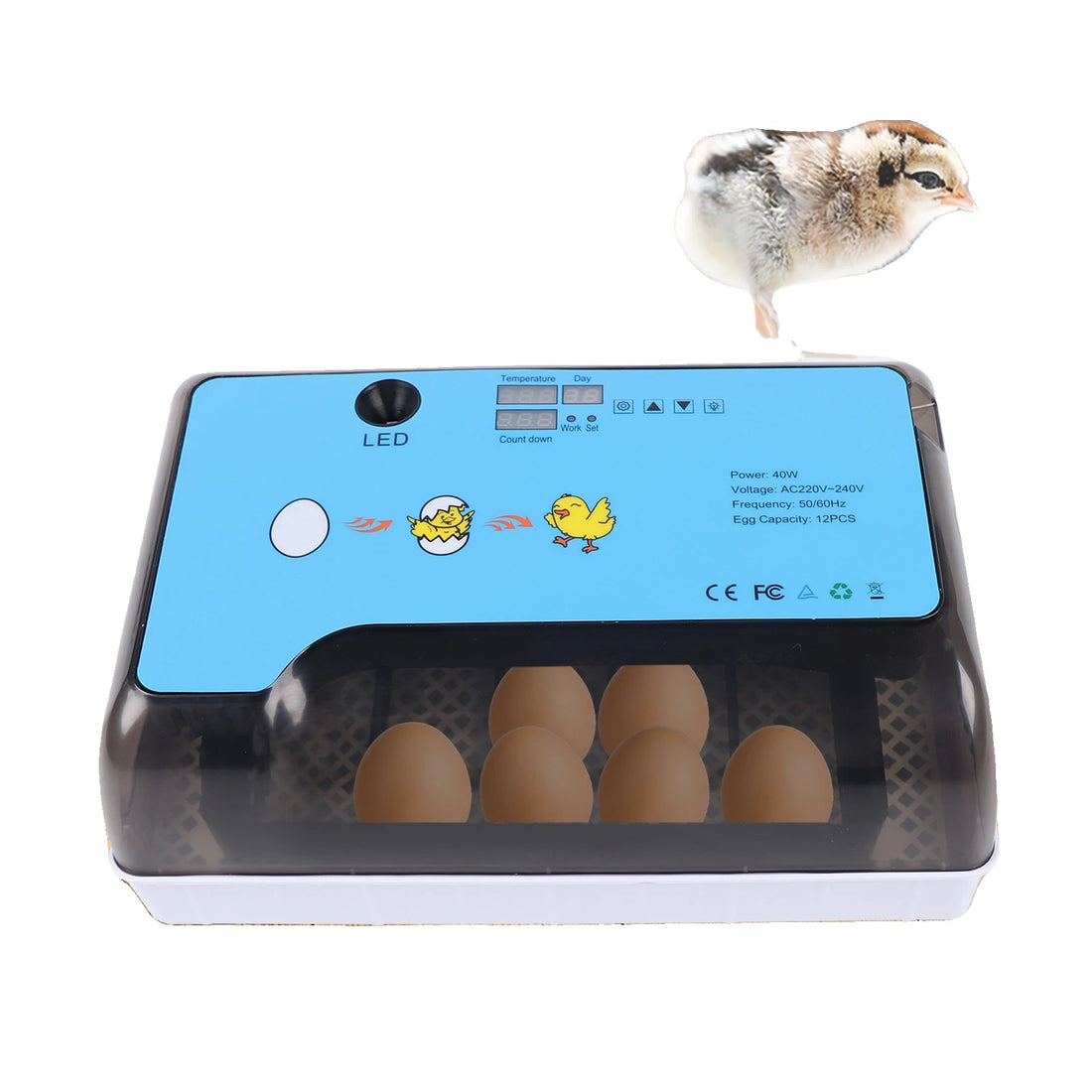 Eggs Incubator, Fully Automatic Turning, Hatching