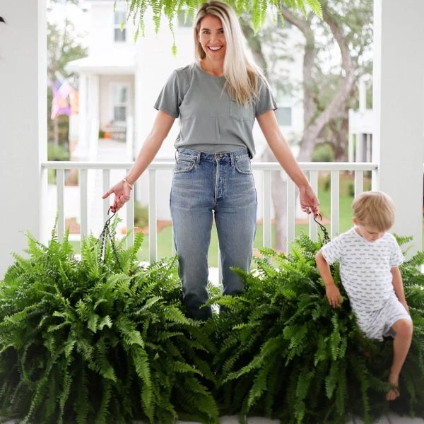 ForeverFern™ Long-lasting greenery 0