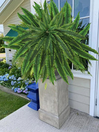 ForeverFern™ Long-lasting greenery 3
