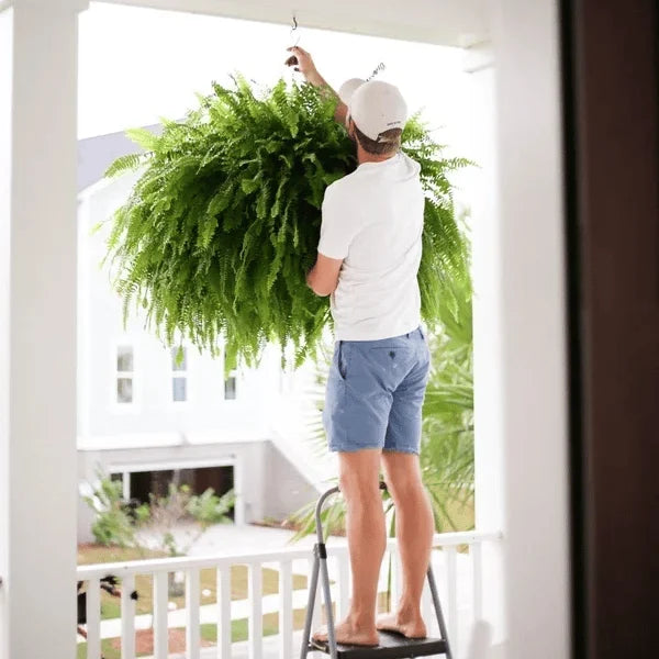 ForeverFern™ Long-lasting greenery 7