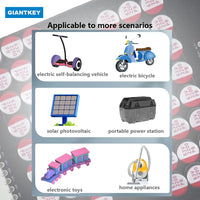 Kapacitiv Aktiv Balance Board, Understøtter Li-ion, Lifepo4, LTO Batterier