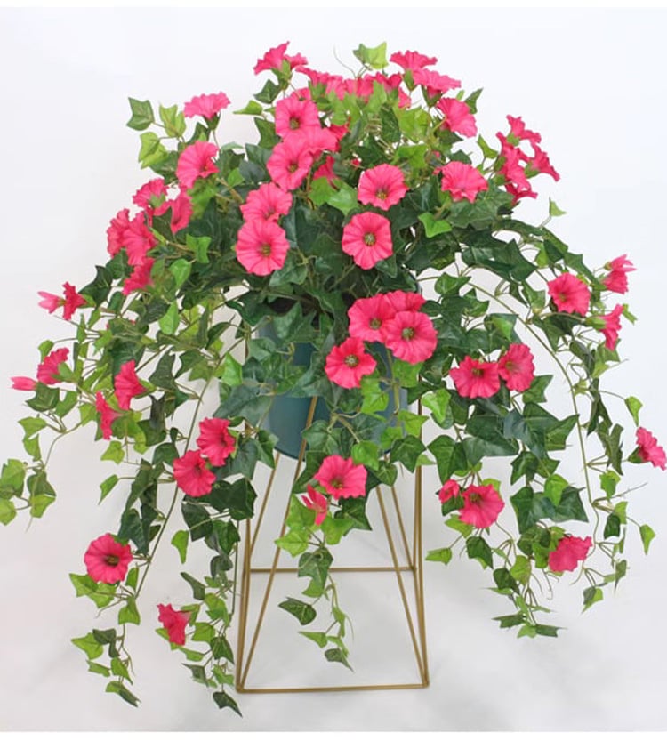 Glory Blossom™ Everlasting Natural Beauty 5