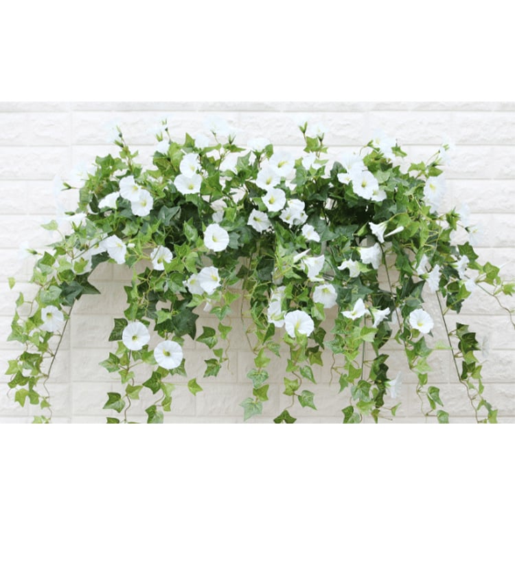 Glory Blossom™ Everlasting Natural Beauty 7