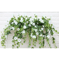 Glory Blossom™ Everlasting Natural Beauty 7