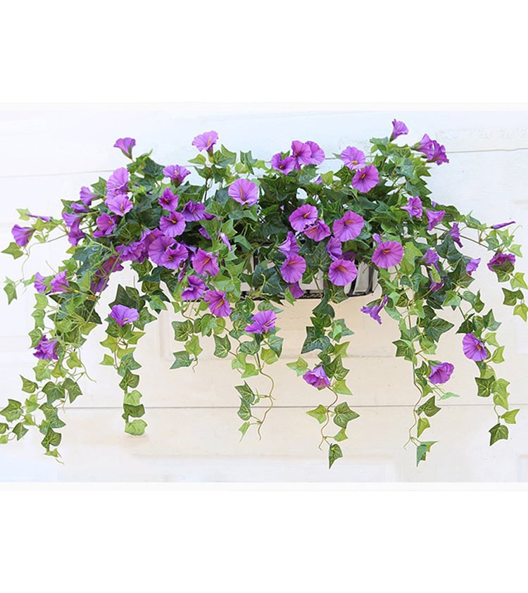 Glory Blossom™ Everlasting Natural Beauty 8