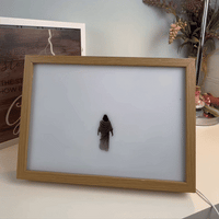LightVision™ Enhances Wall Decoration 1