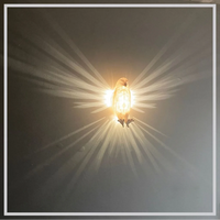 Wild Glow™ Illuminates the Imagination 3