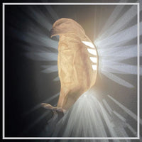Wild Glow™ Illuminates the Imagination 5
