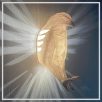 Wild Glow™ Illuminates the Imagination 6